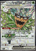Teal Mask Ogerpon ex - Scarlet & Violet Black Star Promos (Promo) [PR-SV-166] English / Near Mint / Normal