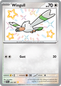 Wingull - Paldean Fates (Shiny Rare) [PAF-203] English / Near Mint / Normal