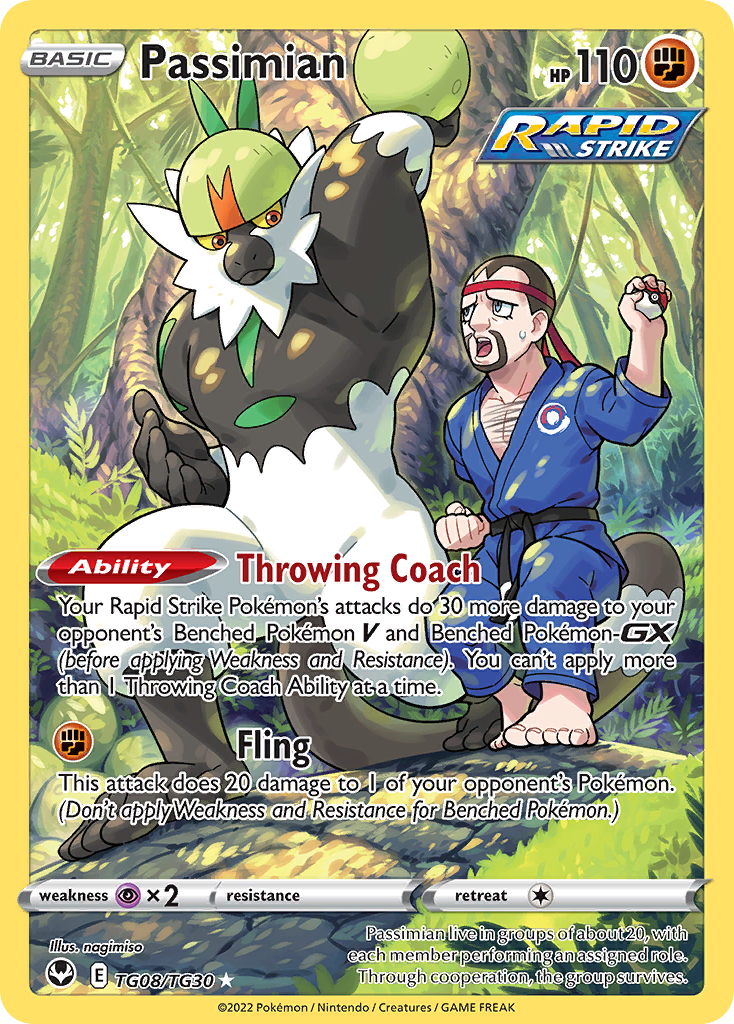 Passimian - Silver Tempest Trainer Gallery (Trainer Gallery Rare Holo) [SIT-TG08] English / Near Mint / Normal